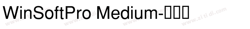WinSoftPro Medium字体转换